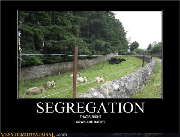 Funny Demotivational Posters. Part 19