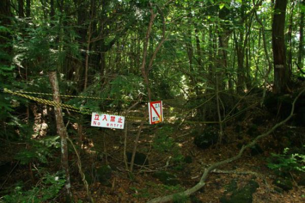 Uncanny Factoid: Suicide Forest