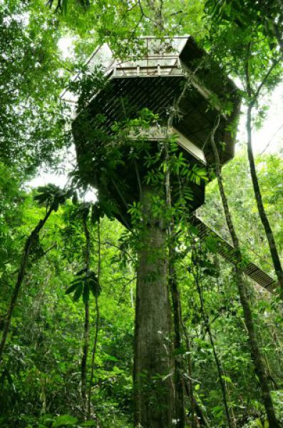 Incredible Tree House Community