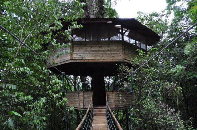 Incredible Tree House Community