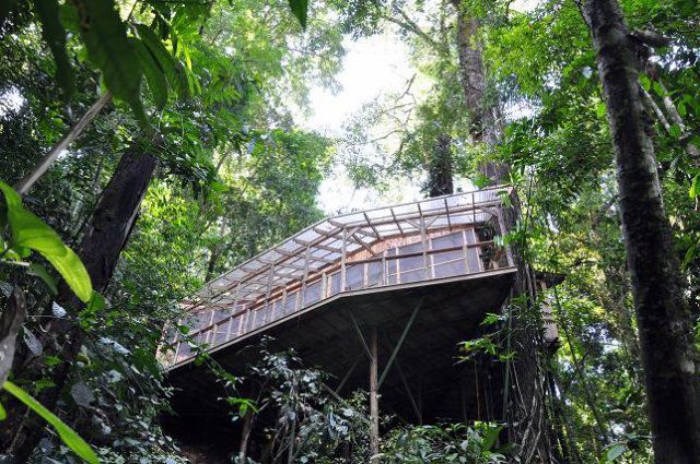 Incredible Tree House Community