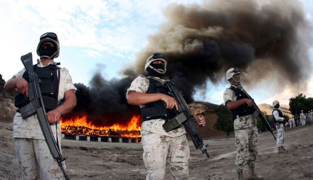 Mexico Burns 134 Tons of Confiscated Marijuana