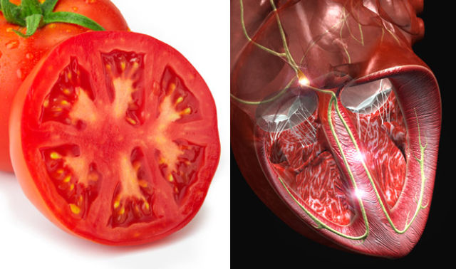 Foods That Resemble the Body Parts They Benefit