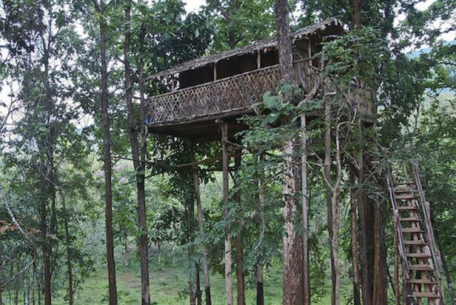 Some Shaky Treehouses