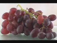 From Grapes to Raisins – 30s Time Lapse