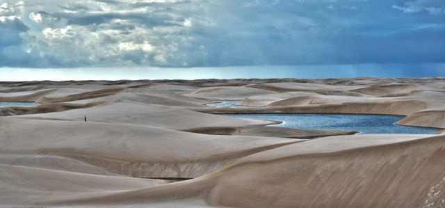 Beautiful Oasis in the Desert