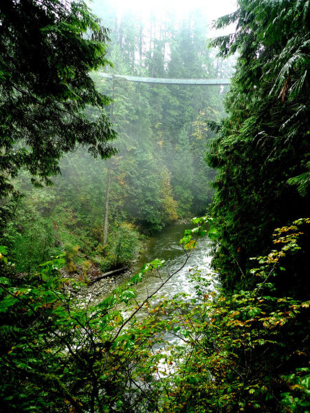 Amazing Capilano Suspension Bridge