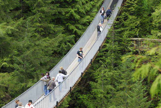 Amazing Capilano Suspension Bridge