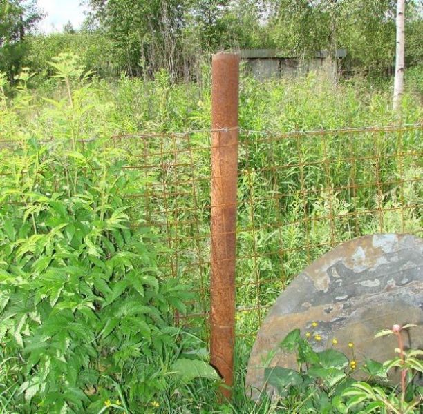 What Does This Rusty Post Have Inside?