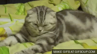 Friday Gif Collection