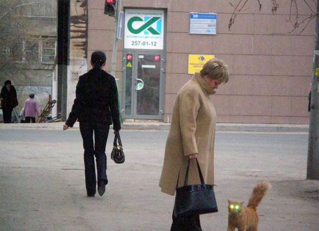 Daily picdump [WEEKEND EDITION]