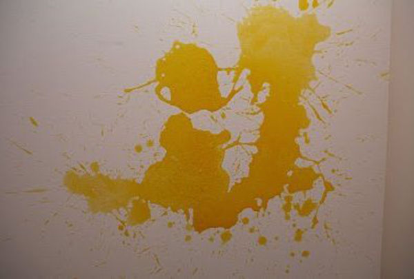 Artist Created Her Paintings by Vomiting