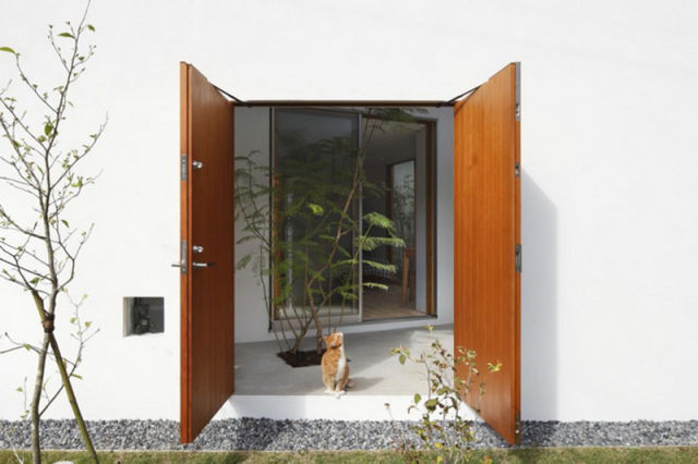 Inside Out Home for Both Cats and Humans