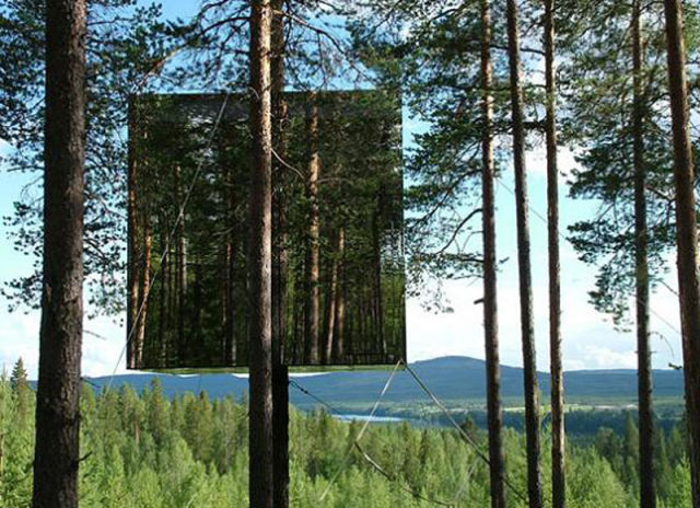 A Hotel in the Trees