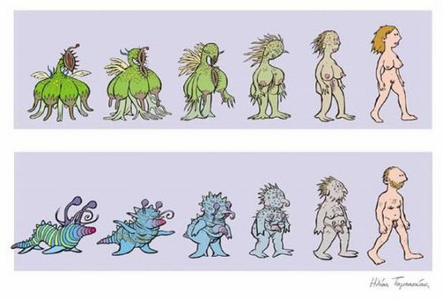 Evolving Evolution