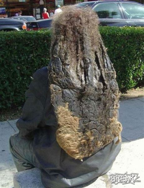 Nasty Tangled and Matted Dreadlock Pictures