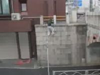 Japanese Freerunning and Parkour