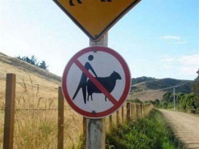 Top 5 Funniest Road Signs in the World