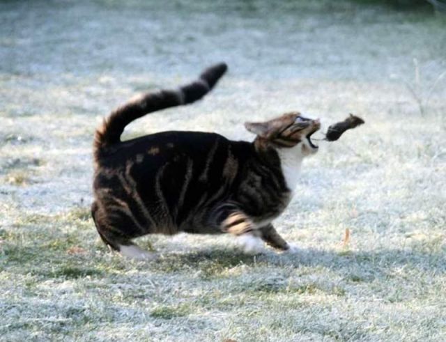 Daily picdump