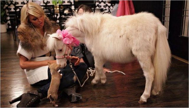 Daily picdump
