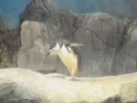 Dubstep Penguin