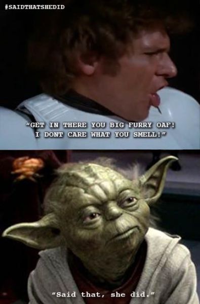 Hilarious Yoda Tumblr “Said That She Did” (22 pics ...