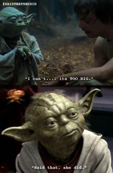 Hilarious Yoda Tumblr “Said That She Did”