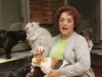Another Crazy Cat Lady