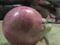Cat Gets Stuck in Hamster Ball