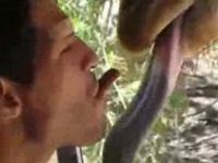 Would You Dare Feeding a Giraffe from Your Mouth?