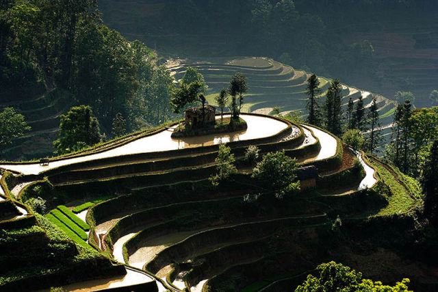 Amazingly Beautiful Rice Terraces