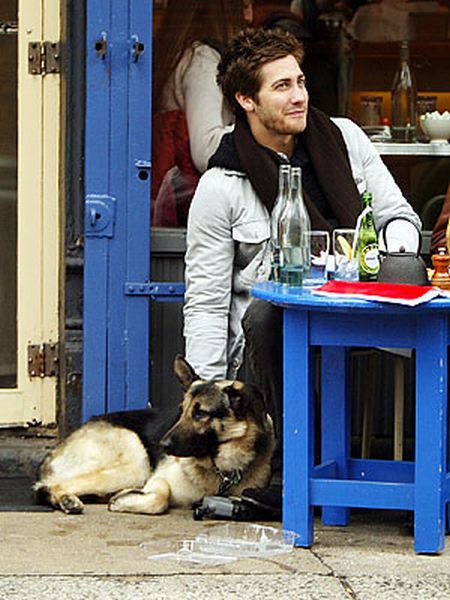 Celebrity Men and Their Dogs