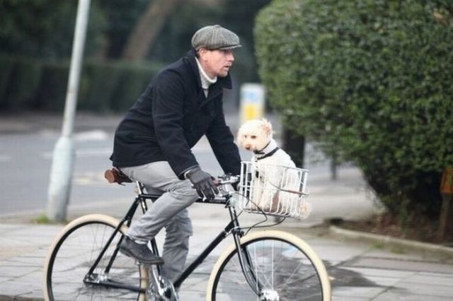 Celebrity Men and Their Dogs