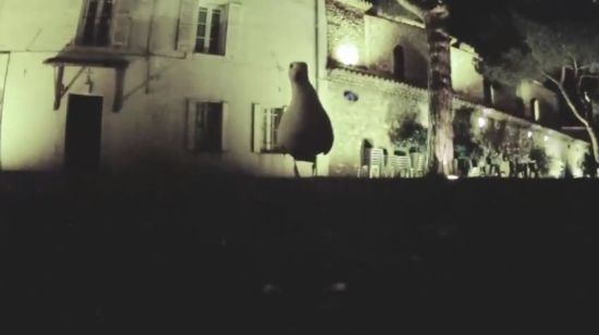 Daring Seagull Steals GoPro Camera [VIDEO]