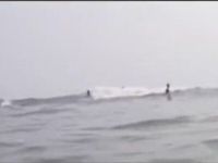 Shark Jumps over Surfer