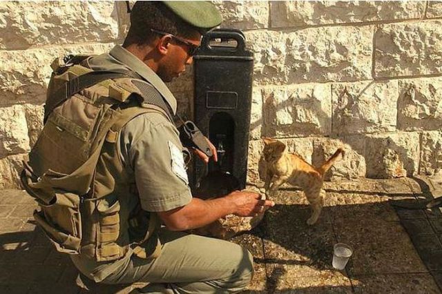 The Pets of Soldiers