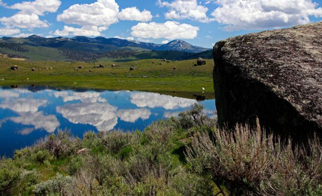 Stunning Images From Yellowstone National Park