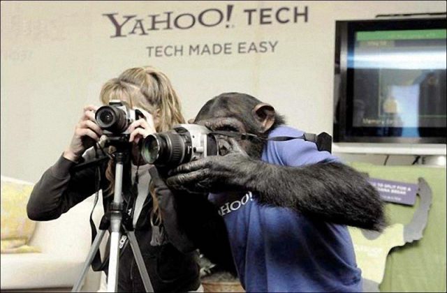 Funny Looking Photographers