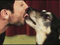 French Kissing Dog School
