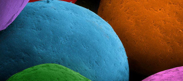 Food Under the Microscope