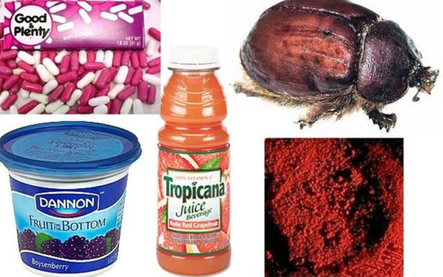Disgusting Food Ingredients