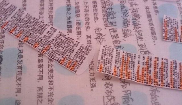 Easy to Make Cheat Sheet From China