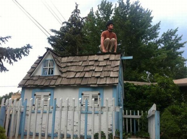 Owling: the New Planking!