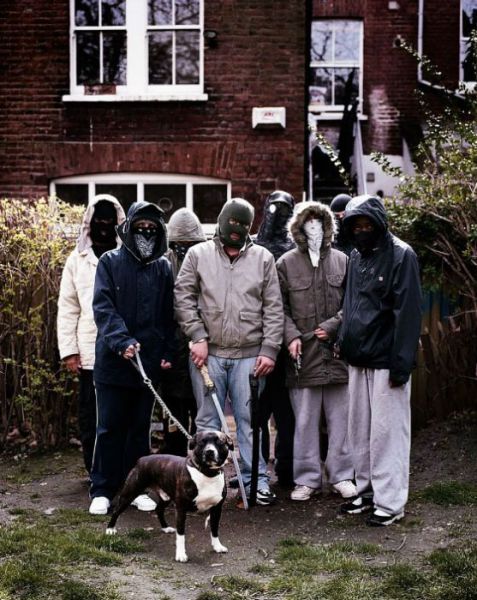 UK Young Gangsters