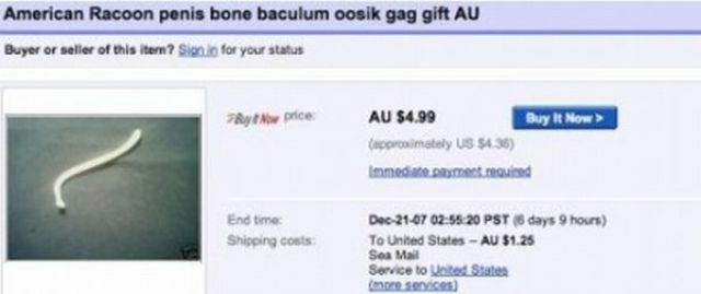 Funny Items for Sale on eBay