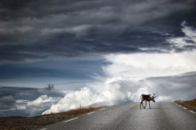 Devastatingly Beautiful Landscape Photographs