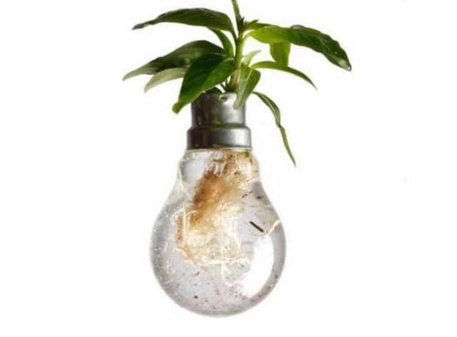Amazing Light Bulb Planters