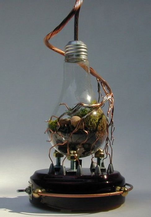 Amazing Light Bulb Planters