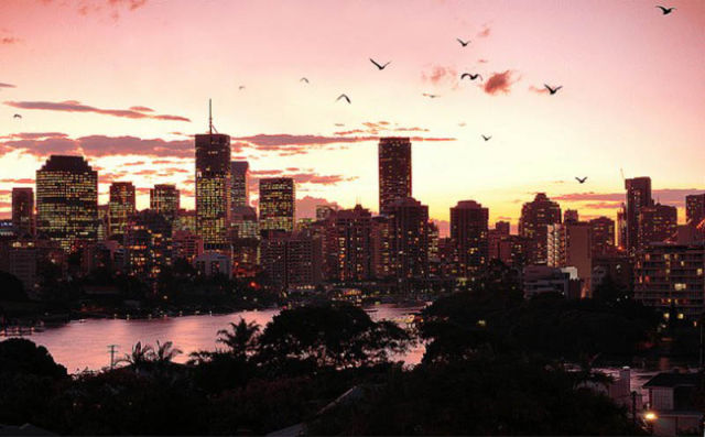 Photos Are a Real Treat for Your Eyes