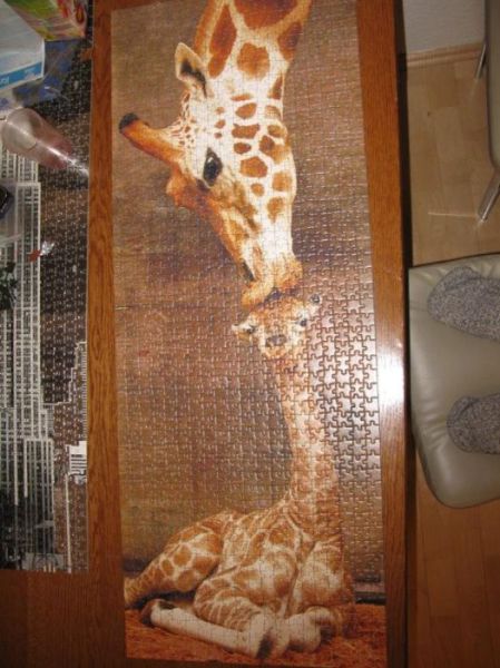 The Biggest Puzzles in the World